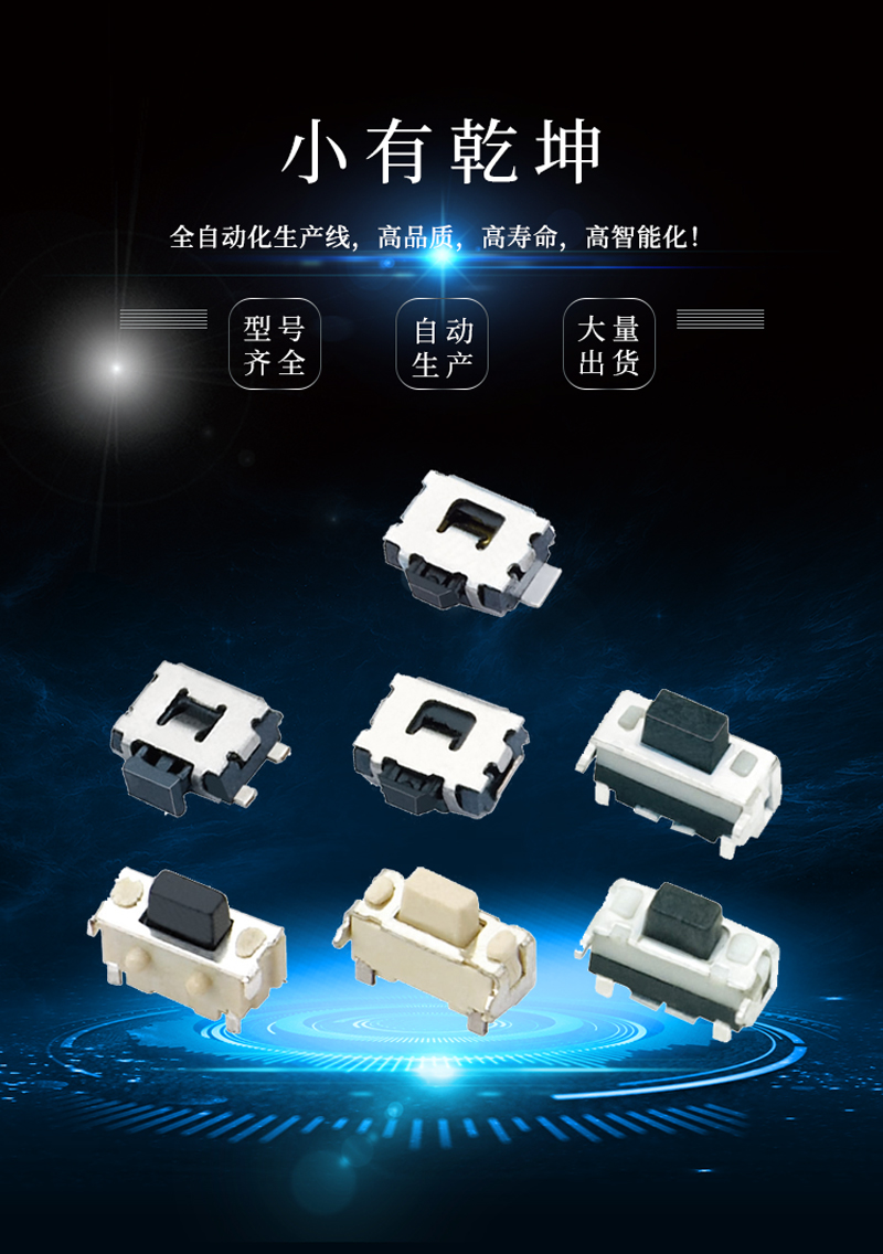 2*4轻触开关