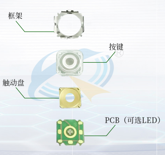轻触开关